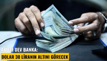 ABD'li dev banka: Dolar 30 liranın altını görecek