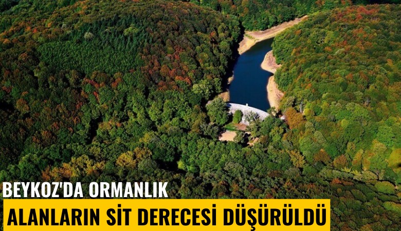 Beykoz'da ormanlık alanların sit derecesi düşürüldü