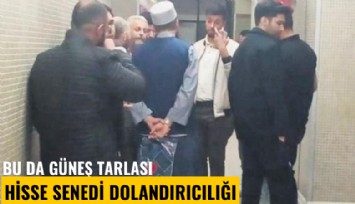 Bu da güneş tarlası hisse senedi dolandırıcılığı