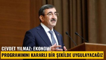 Cevdet Yılmaz: Ekonomi programınını kararlı bir şekilde uygulayacağız