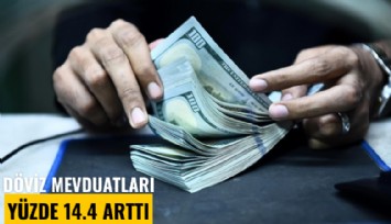 Döviz mevduatları yüzde 14.4 arttı, TL mevduatı azaldı