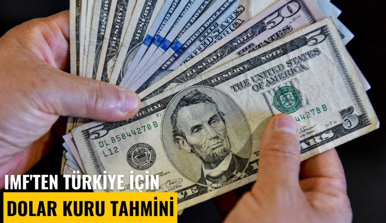 IMF'ten Türkiye için dolar kuru tahmini