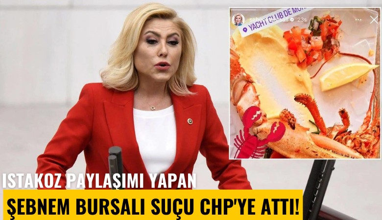 Istakoz paylaşımı yapan Şebnem Bursalı suçu CHP'ye attı!
