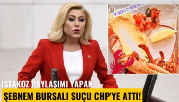 Istakoz paylaşımı yapan Şebnem Bursalı suçu CHP'ye attı!