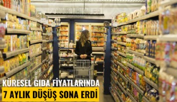 Küresel gıda fiyatlarında 7 aylık düşüş sona erdi