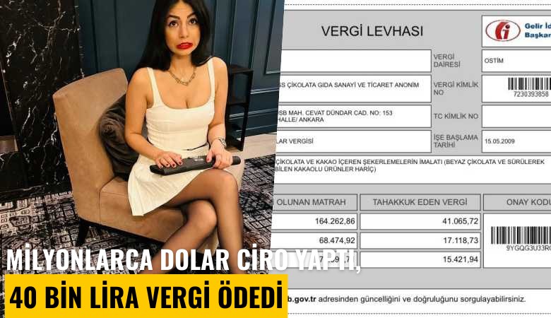 Milyonlarca dolar ciro yaptı, 40 bin lira vergi ödedi