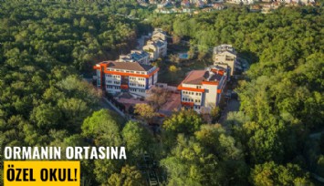 Ormanın ortasına özel okul!