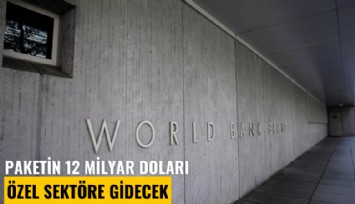 Paketin 12 milyar doları özel sektöre gidecek