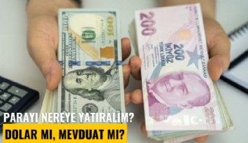 Parayı nereye yatıralım? Dolar mı, mevduat mı?
