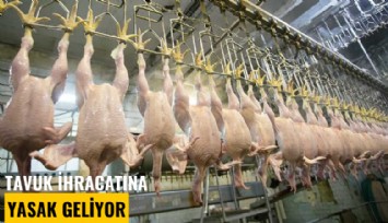 Tavuk ihracatına yasak geliyor