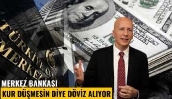 Ünlü ekonomist açıkladı: Merkez Bankası kur düşmesin diye döviz alıyor