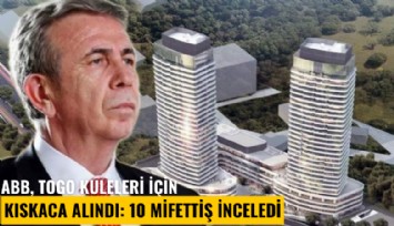 ABB, TOGO kuleleri için kıskaca alındı: 10 müfettiş inceledi