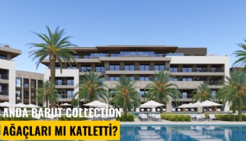 Anda Barut Collection ağaçları katletti iddiası