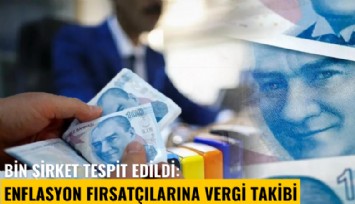 Bin şirket tespit edildi: Enflasyon fırsatçılarına vergi takibi