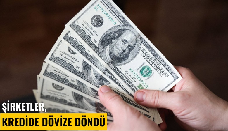 Şirketler, kredide dövize döndü