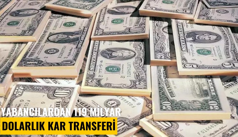 Yabancılardan 119 milyar dolarlık kar transferi