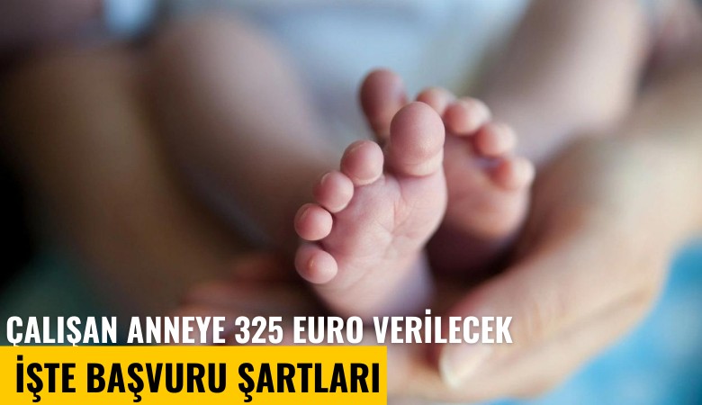 Çalışan anneye 325 euro verilecek? İşte başvuru şartları