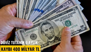 Döviz tutanın 6 aylık kaybı 400 milyar TL