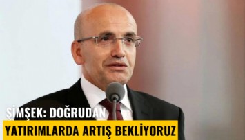 Şimşek: Doğrudan yatırımlarda artış bekliyoruz