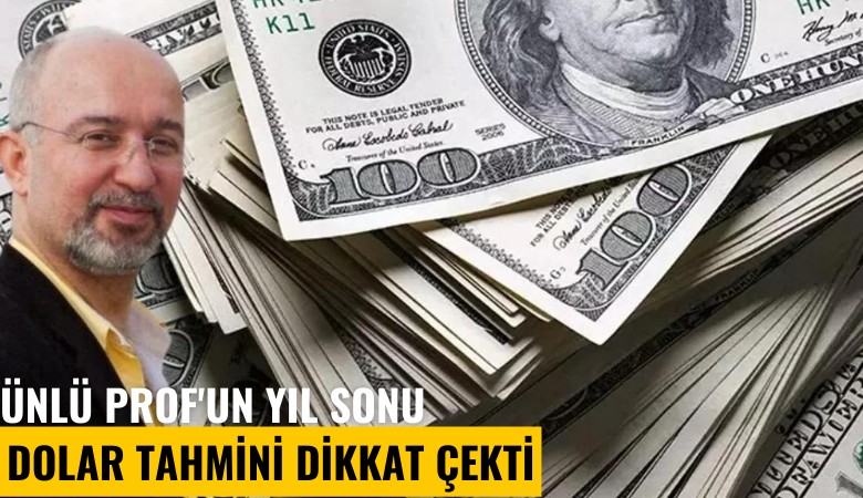 Ünlü Prof'un yıl sonu dolar tahmini dikkat çekti