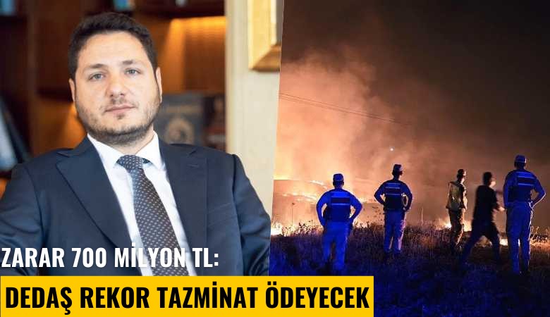 Zarar 700 milyon TL: DEDAŞ rekor tazminat ödeyecek