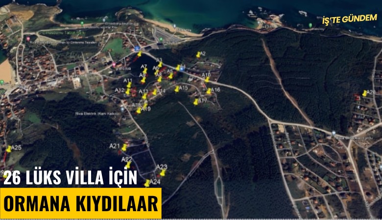 26 lüks villa için ormana kıydılar