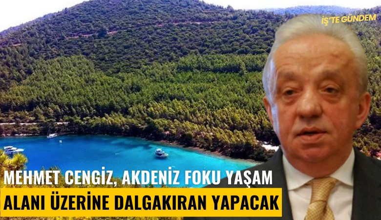 Mehmet Cengiz, Akdeniz foku yaşam alanı üzerine dalgakıran yapacak