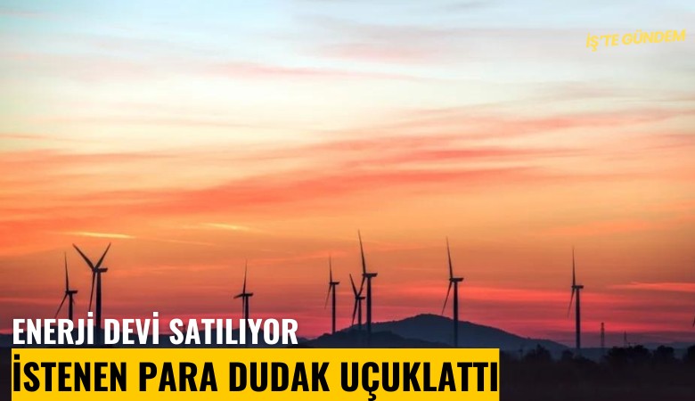 Enerji devi satılıyor: İstenen para dudak uçuklattı