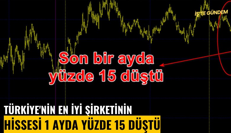 Türkiye'nin en iyi şirketinin hissesi 1 ayda yüzde 15 düştü