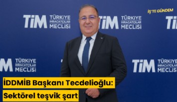 İDDMİB Başkanı Tecdelioğlu: Sektörel teşvik şart
