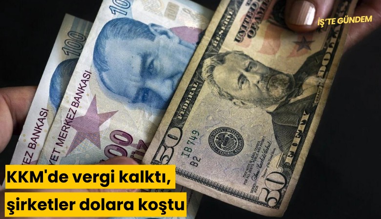 KKM'de vergi kalktı, şirketler dolara koştu