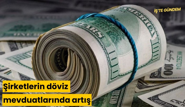 Şirketlerin döviz mevduatlarında artış