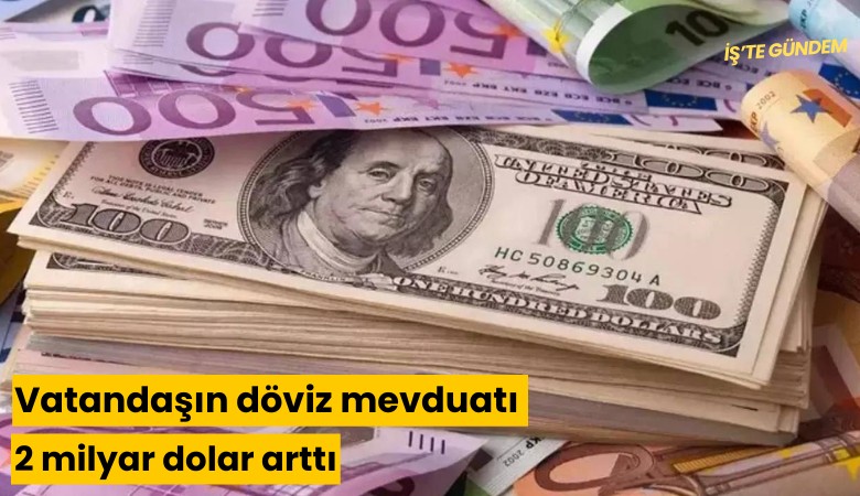 Vatandaşın döviz mevduatı 2 milyar dolar arttı