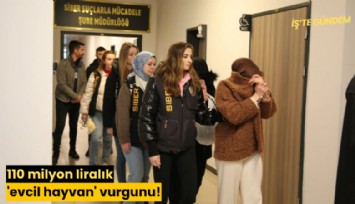 110 milyon liralık 'evcil hayvan' vurgunu!