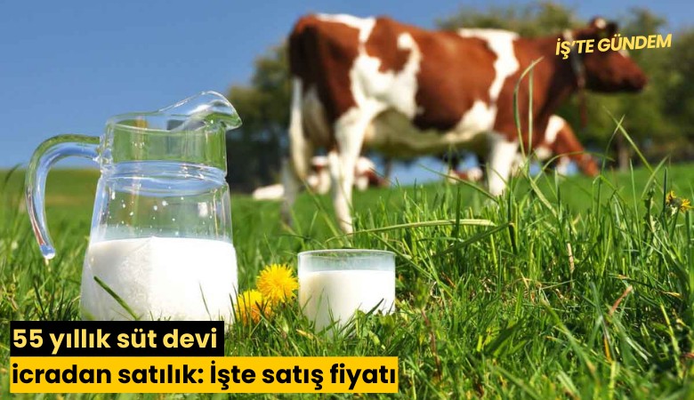 55 yıllık süt devi icradan satılık: İşte satış fiyatı