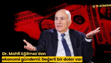 Dr. Mahfi Eğilmez'den ekonomi gündemi: Değerli bir dolar var
