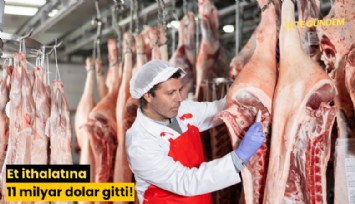 Et ithalatına 11 milyar dolar gitti!