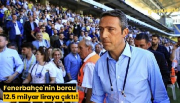 Fenerbahçe'nin borcu 12.5 milyar liraya çıktı!
