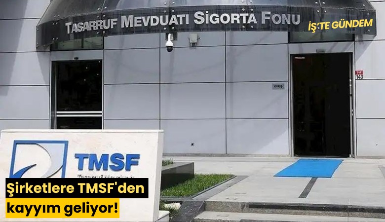 Şirketlere TMSF'den kayyım geliyor!