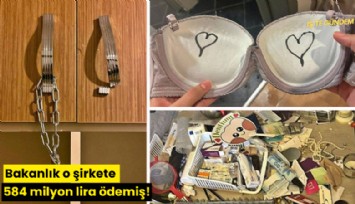 Bakanlık o şirkete 584 milyon lira ödemiş!