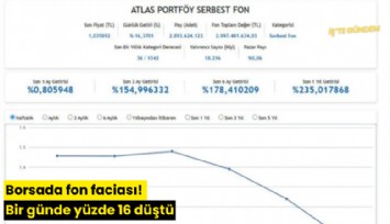 Borsada fon faciası! Bir günde yüzde 16 düştü