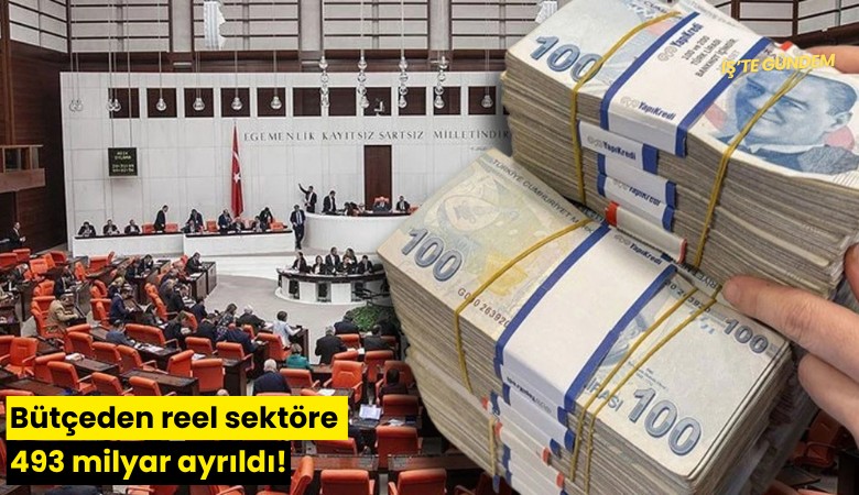 Bütçeden reel sektöre 493 milyar ayrıldı!