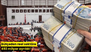 Bütçeden reel sektöre 493 milyar ayrıldı!