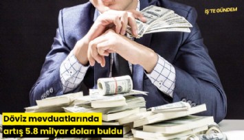 Döviz mevduatlarında artış 5.8 milyar doları buldu