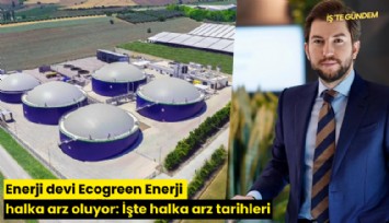 Enerji devi Ecogreen Enerji halka arz oluyor: İşte halka arz tarihleri