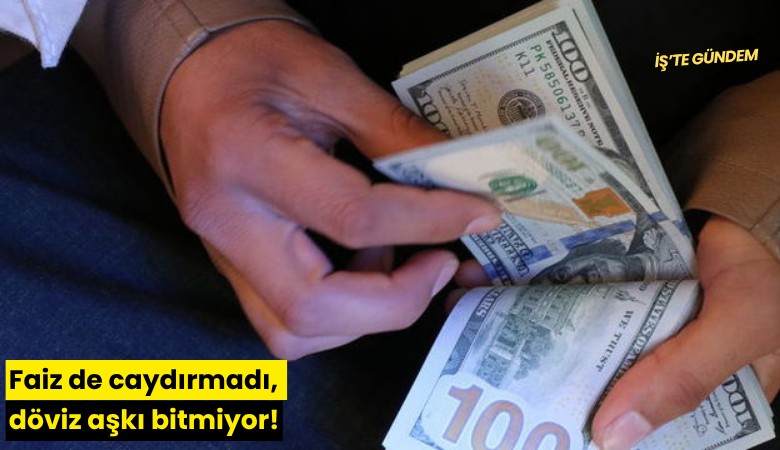 Faiz de caydırmadı, döviz aşkı bitmiyor!