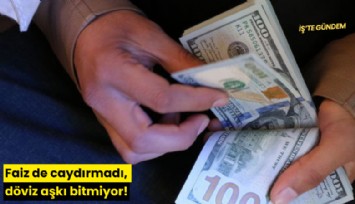 Faiz de caydırmadı, döviz aşkı bitmiyor!