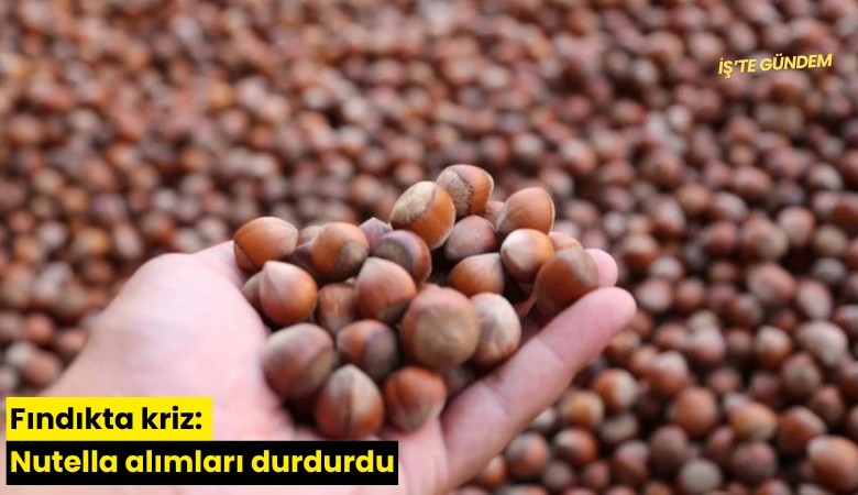 Fındıkta kriz: Nutella alımları durdurdu