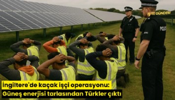 İngiltere'de kaçak işçi operasyonu: Güneş enerjisi tarlasından Türkler çıktı