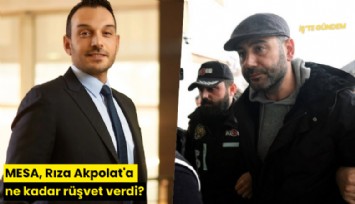 MESA, Rıza Akpolat'a ne kadar rüşvet verdi?